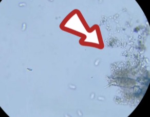自来水不能直饮？3套工厂/学校直饮水方案，适配不同场景